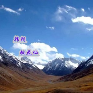 桃花仙 (DJ咚鼓版)