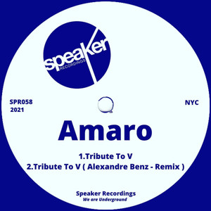 Tribute To V (Alexandre Benz Remix)