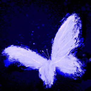 We Don't Talk Anymore+天生一对（Mashup）