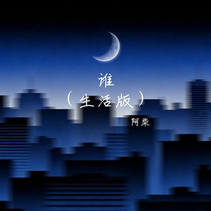 谁 (生活版)
