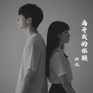 请离开我的依赖