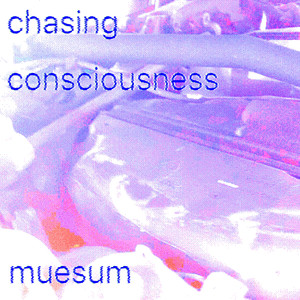 Chasing Consciousness