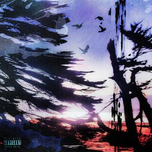 NEW SWAG (Explicit)