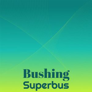 Bushing Superbus