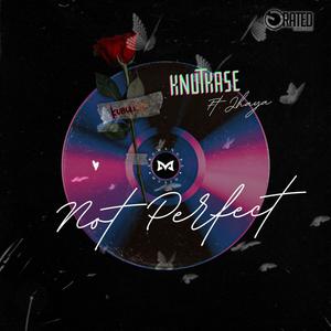 Not Perfect (feat. Jhaya)