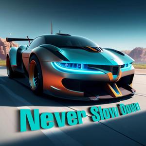 Never Slow Down (feat. Parwin Black)