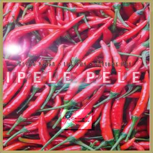 Ipele pele (feat. Keytone Deep SA & Log Deep SA)