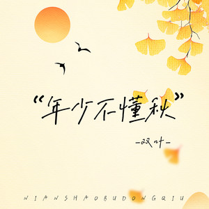 年少不懂秋