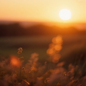 Tranquil Evening Dreams