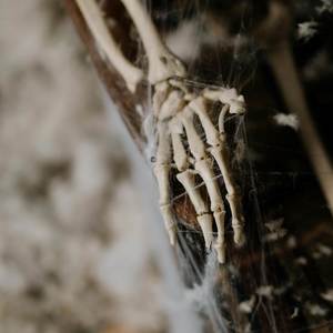 DEAD TO ME (Explicit)