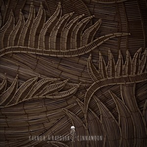 Cinnamoon (Extended Mix)