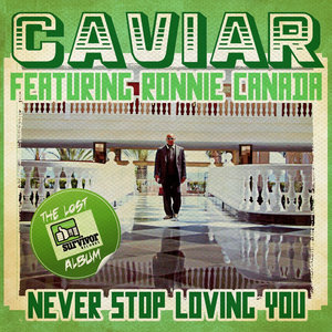 Never Stop Loving You (Digitally Remastered)