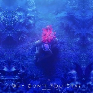 Why Don't You Stay