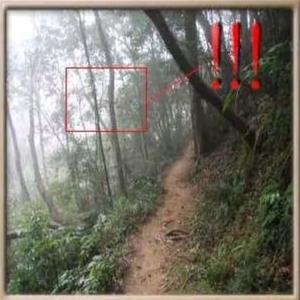 Wishing Me Dead (feat. PrettyAndDead) (Explicit)