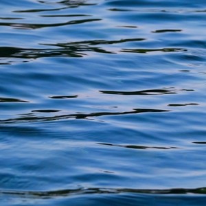 夏日体验卷！ (Demo)