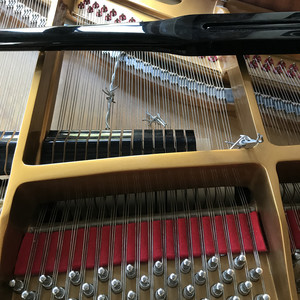 Quale patria per piano spinato (feat. Luca Olivieri)