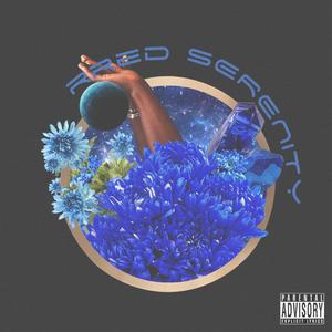 Swag & Surfin' (Explicit)