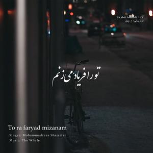 Tora faryad mizanam (Rework of M.R Shajarian)