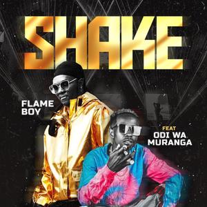 Shake (feat. Odi Wa Muranga)