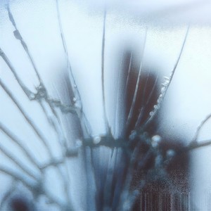 c (with the machine i trust)