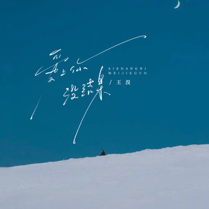 爱上你没结果 (伴奏)