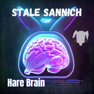 Stale Sannich