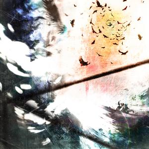 Where are your wings