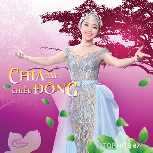 Chia Tay Chiều Đông (Top Hits 67)