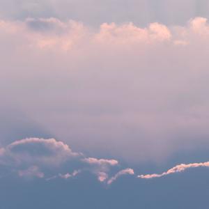 单车 (粤语女声版)