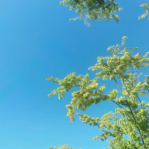 Green (feat. 박종관)