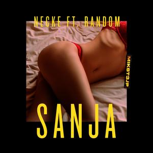 Sanja (feat. rendominacija) (Explicit)