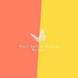 Please Don't Go Breaking My Heart