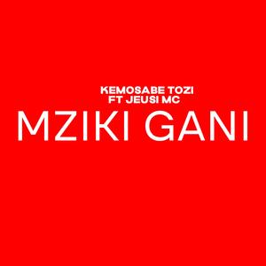 Mziki Gani (feat. Jeusi Mc)