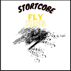 Fly King