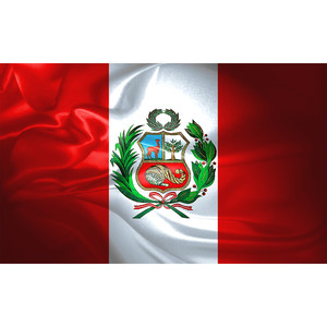 Carta para el Congreso 2