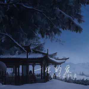 一生的爱（我终于明白对你的爱）-丽丽最好看