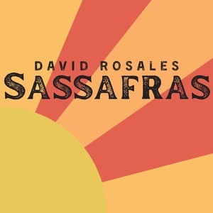 Sassafras