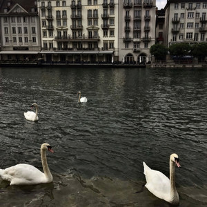 爱我就不准说反话