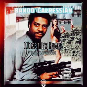 I LIke Them Freaks (feat. Kyng Ron) [Explicit]