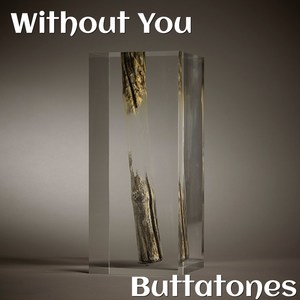 Without You