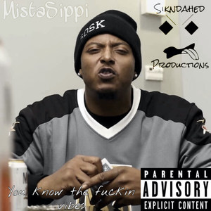 You Know the ****in Vibes (Explicit)