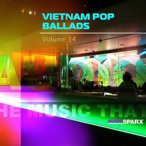 Vietnam Pop Ballads Volume 14