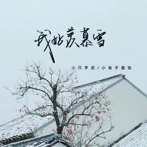 我好羡慕雪