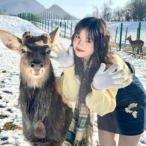 夏日专属BGM