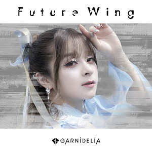 Future Wing