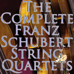String Quartet No. 1 in Various Keys, D. 18 - II. Menuetto (第二乐章 小步舞曲)