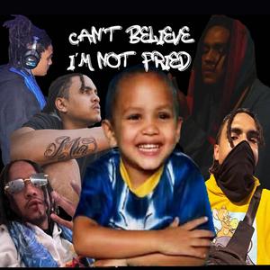 Can't Believe I'm Not Fried (Explicit)