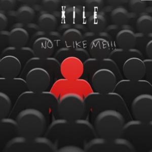 Not like me (Explicit)