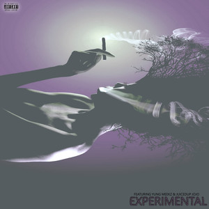 Experimental (Explicit)