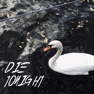 Die Tonight (feat. Rose) [Explicit]